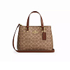 Сумка Coach через плечо (Gold/Tan/Brown)